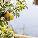 Un Nido Su Amalfi
