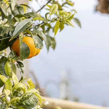 Un Nido Su Amalfi